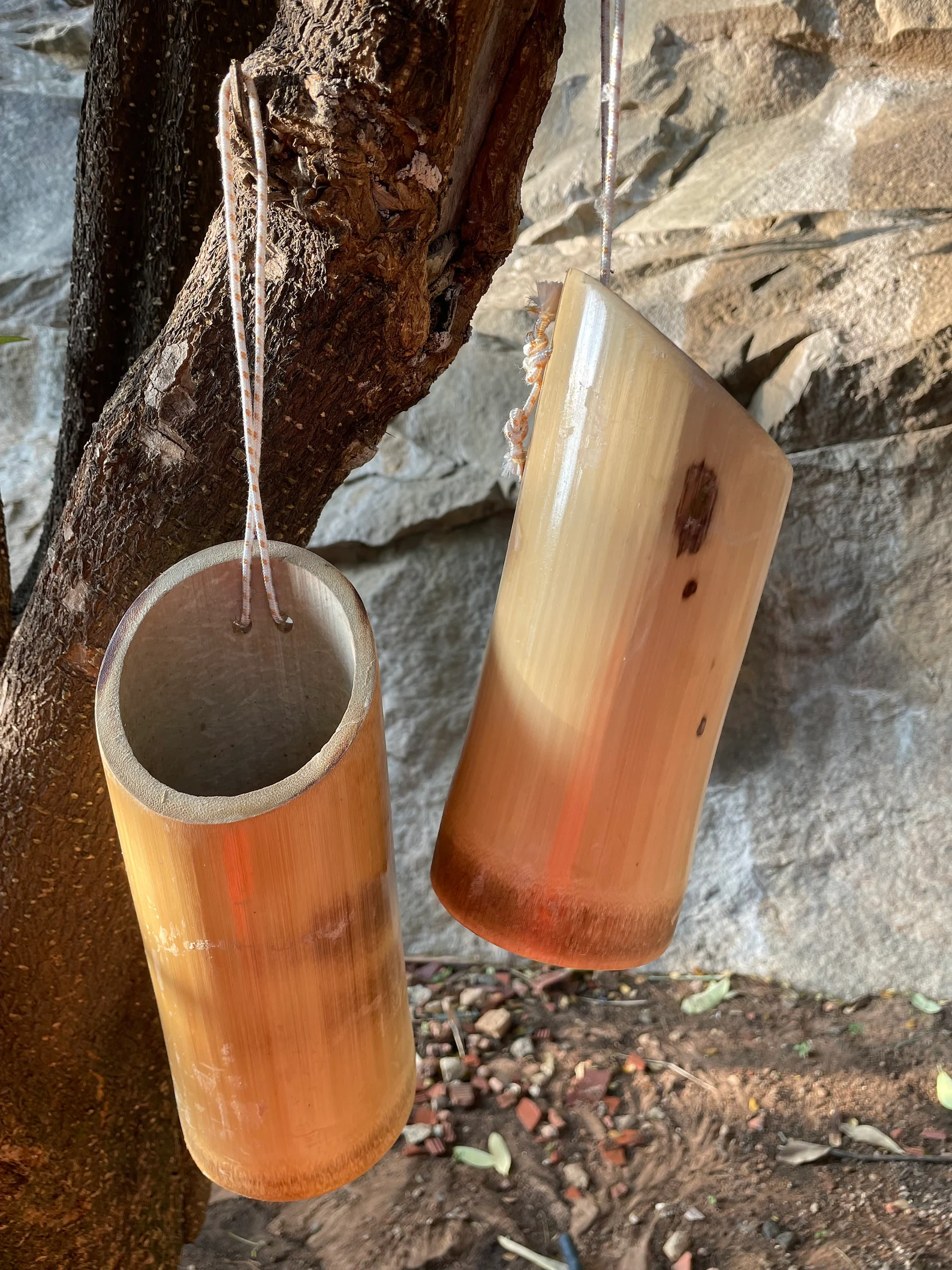Bamboo Planter Set of 2 - Vertical