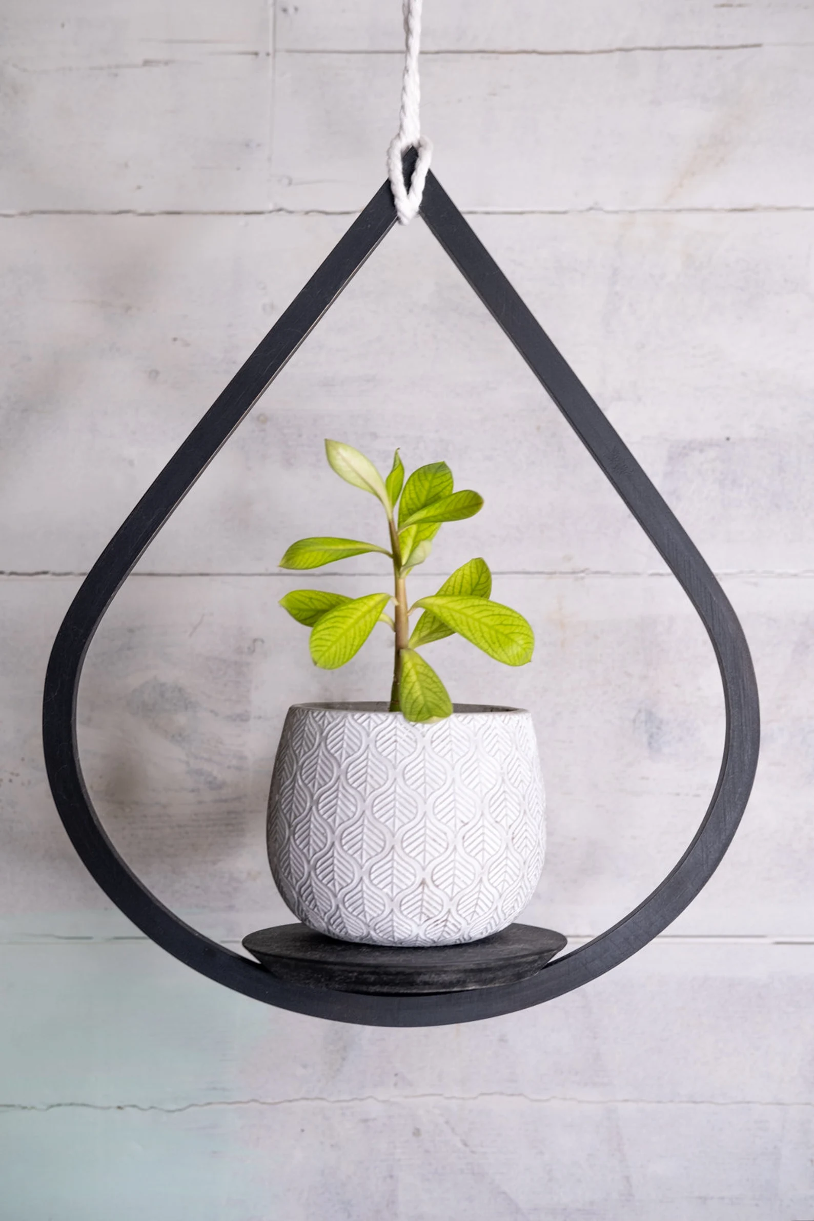 Medium Matte Black Plant Hanger, Tear Drop Hanger, Planter With Saucer, Air Plant Hanger, Boho, Mid Century Modern Planter