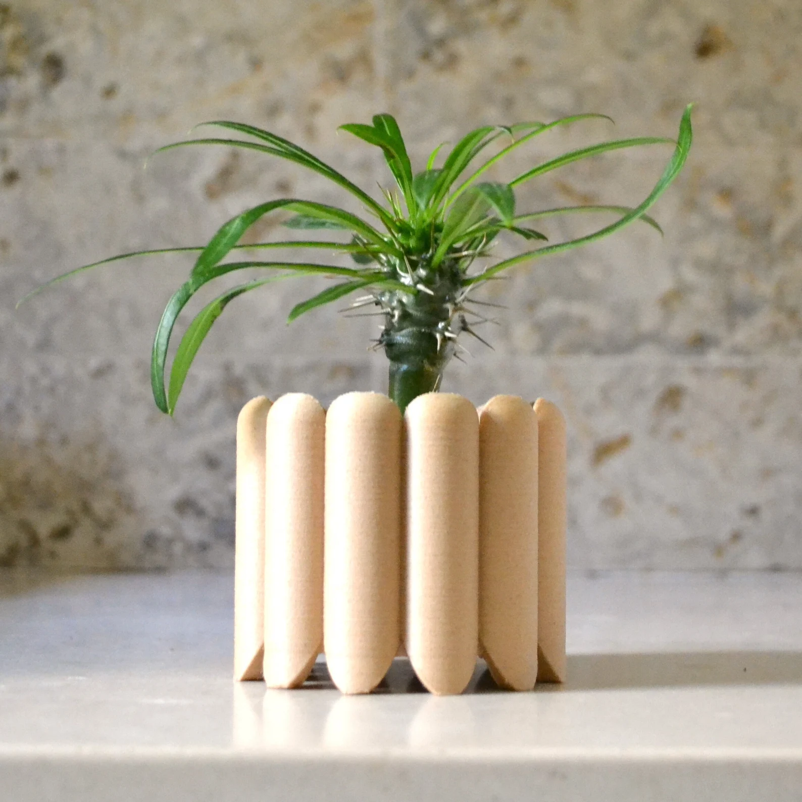 Wood Mid Century Planter "Ladyfingers" Natural Wood Finish