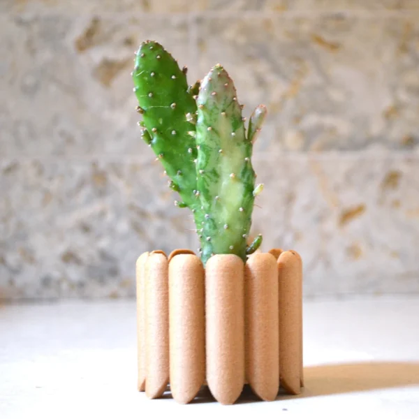 Wood Mid Century Planter "Ladyfingers" Natural Wood Finish - Image 5