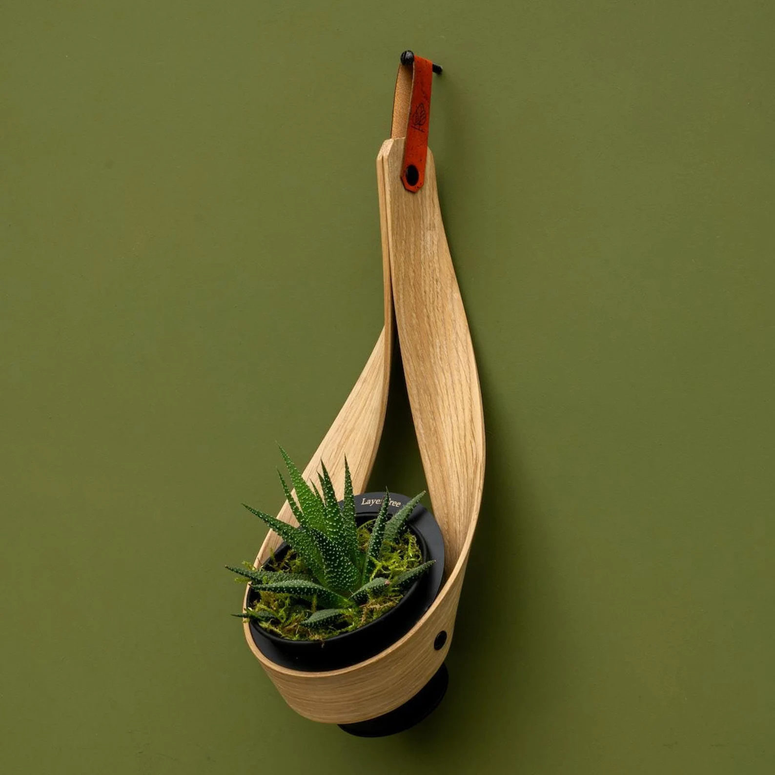 Personalised Wall Mounted Indoor Planter | Gift for Her | Plant Pot Holder for Plants, Herbs & Succulents