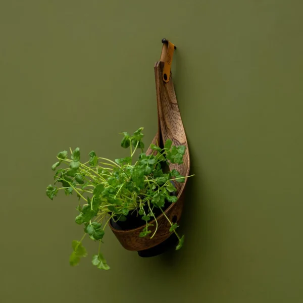 Personalised Wall Mounted Indoor Planter | Gift for Her | Plant Pot Holder for Plants, Herbs & Succulents - Image 5