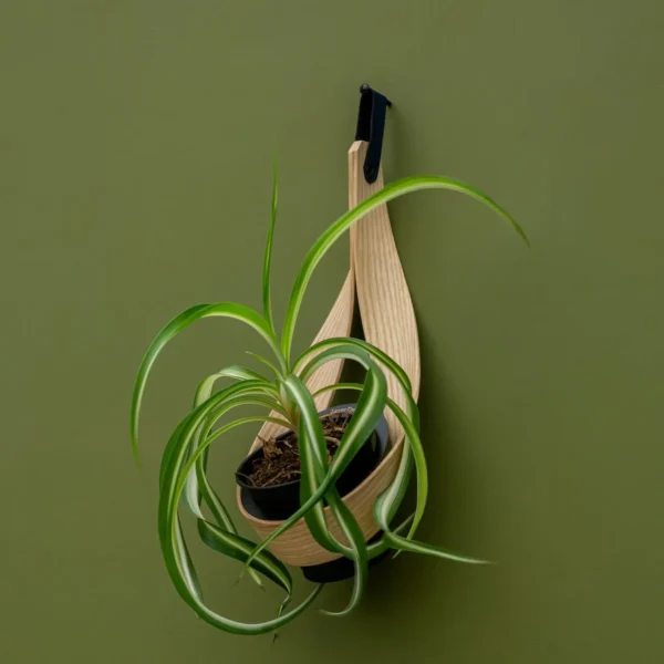 Personalised Wall Mounted Indoor Planter | Gift for Her | Plant Pot Holder for Plants, Herbs & Succulents - Image 7