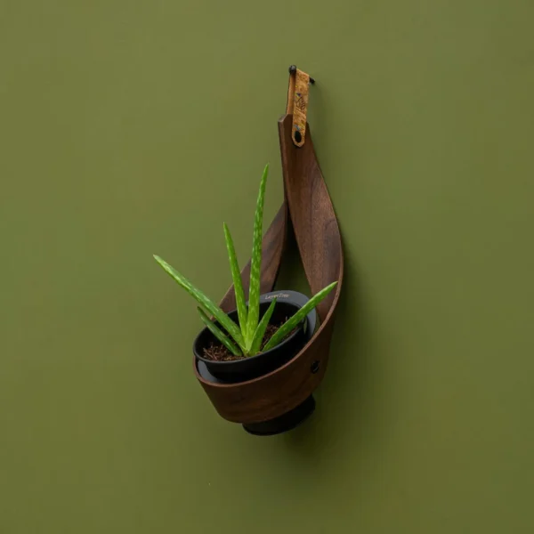 Personalised Wall Mounted Indoor Planter | Gift for Her | Plant Pot Holder for Plants, Herbs & Succulents - Image 8