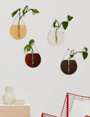 Set of 4 Wall Hanging Propagation Station - Round Wooden Plant Hanger - Indoor Wall Planter Set - Modern Wooden Wall Decor - New Home Gift