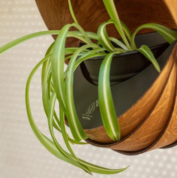 Indoor Wooden Hanging Planter for Trailing Plants | Unique Spiral Ceiling Hanging Plant Pot - Image 4