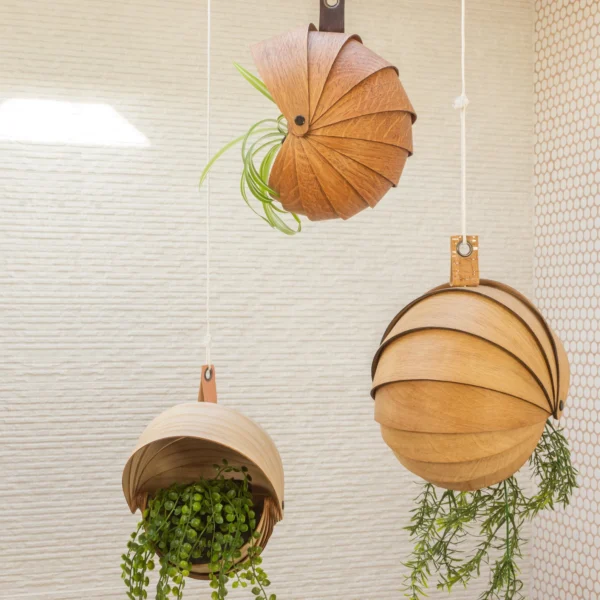Indoor Wooden Hanging Planter for Trailing Plants | Unique Spiral Ceiling Hanging Plant Pot - Image 5