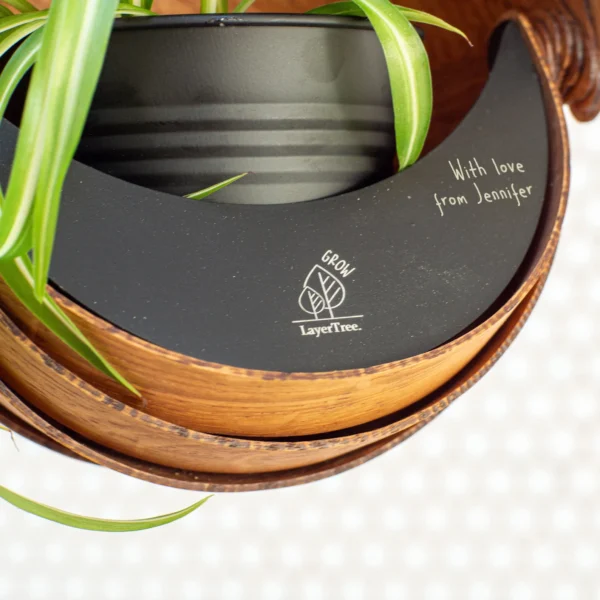 Indoor Wooden Hanging Planter for Trailing Plants | Unique Spiral Ceiling Hanging Plant Pot - Image 7