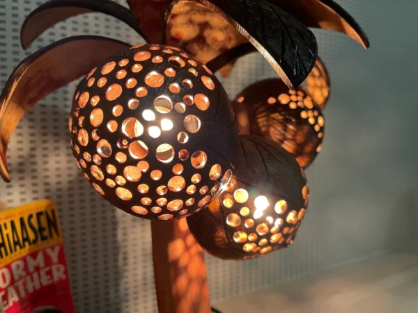 3 Balls Coconut Lamp Coconut Tree Shell Bedroom Lamp Tree Table Light Wooden Palm Lantern - Image 5