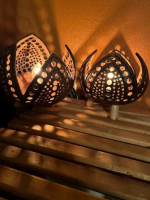 Bohemian Style Open Petal Coconut Table Lamp. Night Lamp. Foyer Lamp. Home Decor. Unique Coconut Lamp. Wedding Gift. House Warming Gift.