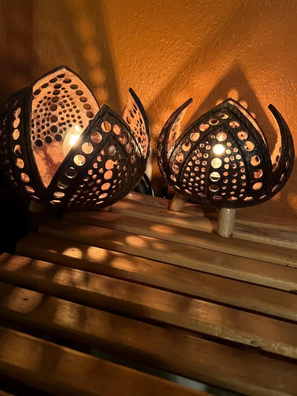 Bohemian Style Open Petal Coconut Table Lamp. Night Lamp. Foyer Lamp. Home Decor. Unique Coconut Lamp. Wedding Gift. House Warming Gift.