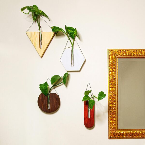 Set of 4 Wood Outdoor Planter Set - Wooden Wall Hanging Planter - Air Plant Holder - Propagation Station Tubes - Modern Decor - Decor Gift - Image 5