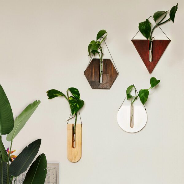 Set of 4 Wood Outdoor Planter Set - Wooden Wall Hanging Planter - Air Plant Holder - Propagation Station Tubes - Modern Decor - Decor Gift - Image 6