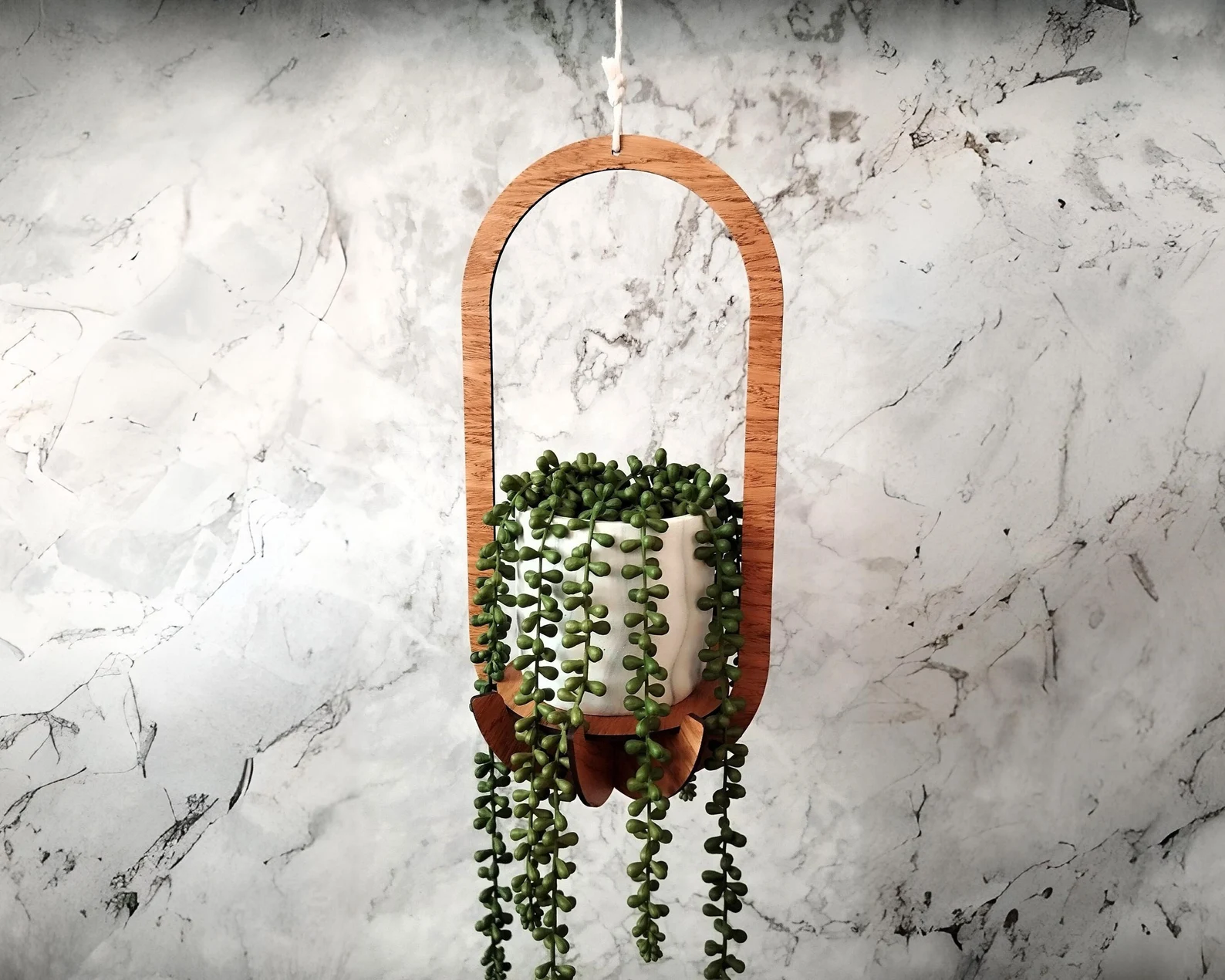 Wooden Oval Plant Hanger - for Indoor Hanging, Trailing, and Potted Plants - 3 sizes available in Ash, Oak, and Walnut Finish
