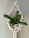 Macrame Plant Pod, Mini plant hanger, Dorm decor, Home Office Decor, Plant Lover Gift, Handmade, unisex gift - Image 8