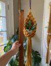 Macrame Plant Pod, Mini plant hanger, Dorm decor, Home Office Decor, Plant Lover Gift, Handmade, unisex gift - Image 9
