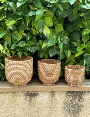 Handmade Cane Planter Set – Natural, Eco-Friendly, and Stylish