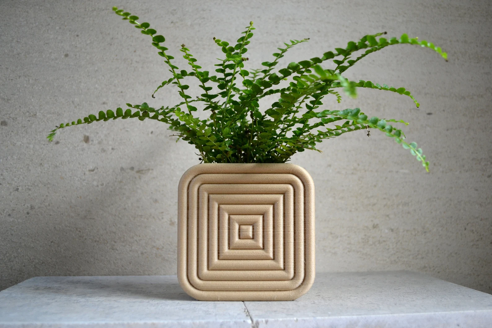 Mid Century Modern "Square Coiled" Wall Planter Natural Wood Finish