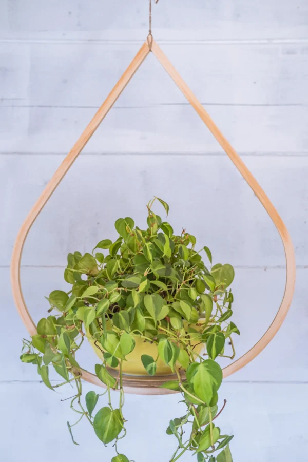 Teardrop Hanger Bundle, Wooden Plant Hanger, Tear Drop Hanger, Planter with Saucer, Boho Decor, Mid Century Modern Planter, Plant lover gift - Image 3