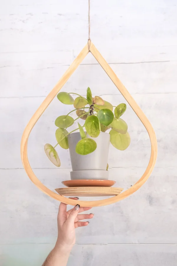 Teardrop Hanger Bundle, Wooden Plant Hanger, Tear Drop Hanger, Planter with Saucer, Boho Decor, Mid Century Modern Planter, Plant lover gift - Image 5