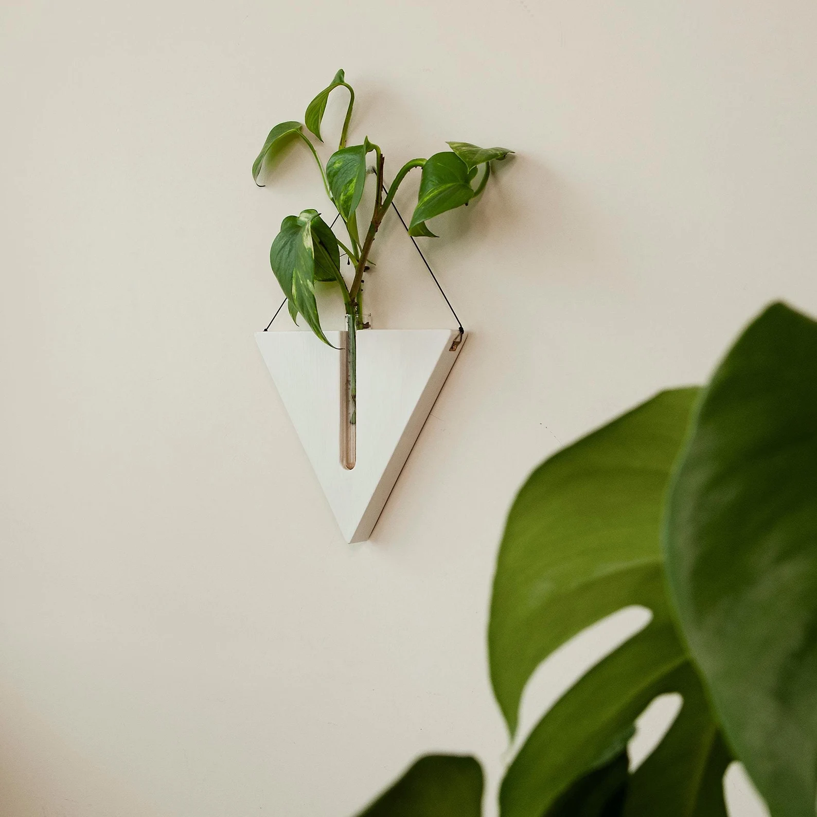 Wooden Triangle White Hanging Propagation Station - Wooden Indoor Planter - Hanging Wood Wall Planter - Plant Accessories - Home Decor Gift