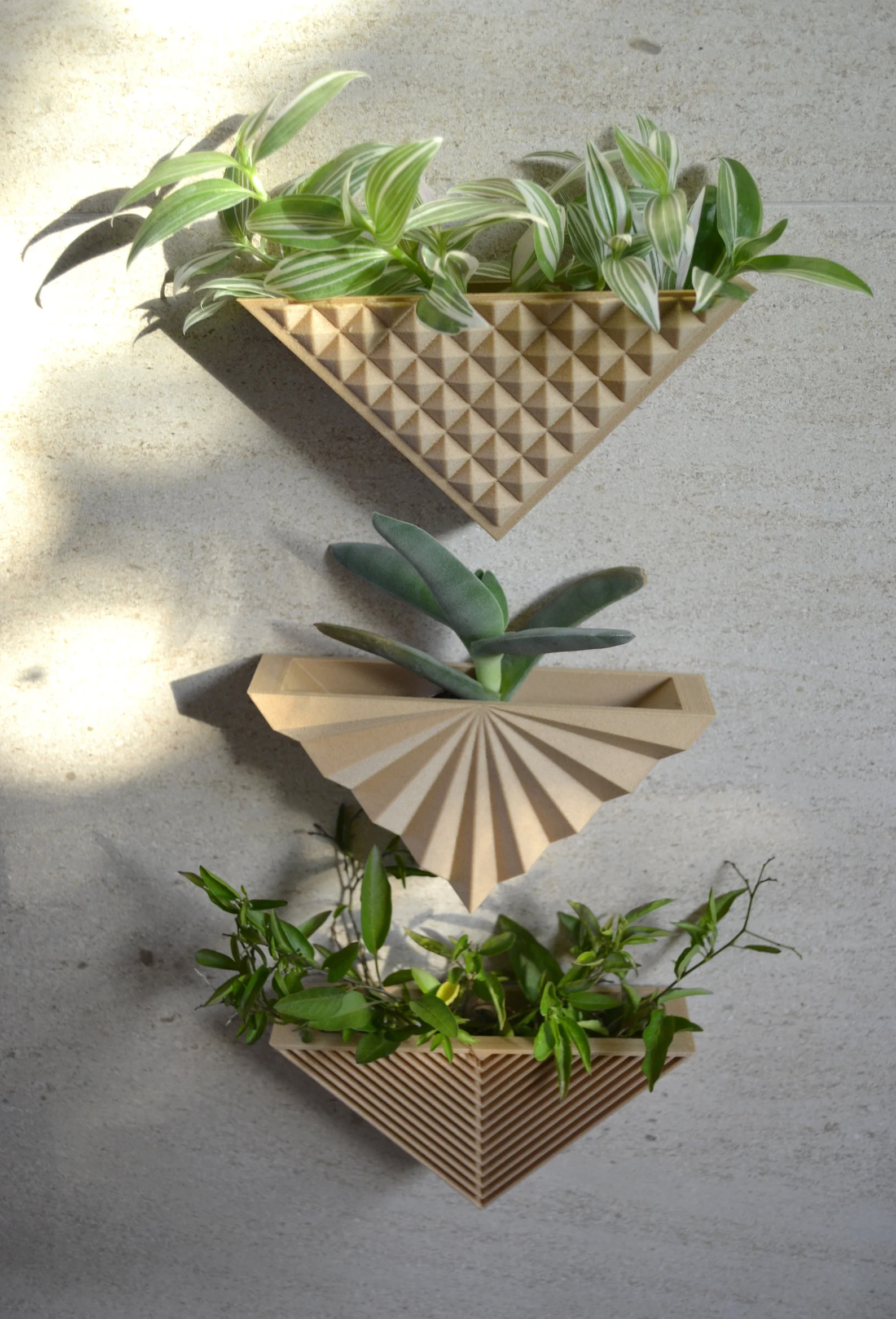 Modern Triangle Set of 3 Wall Planter Natural Wood Finish