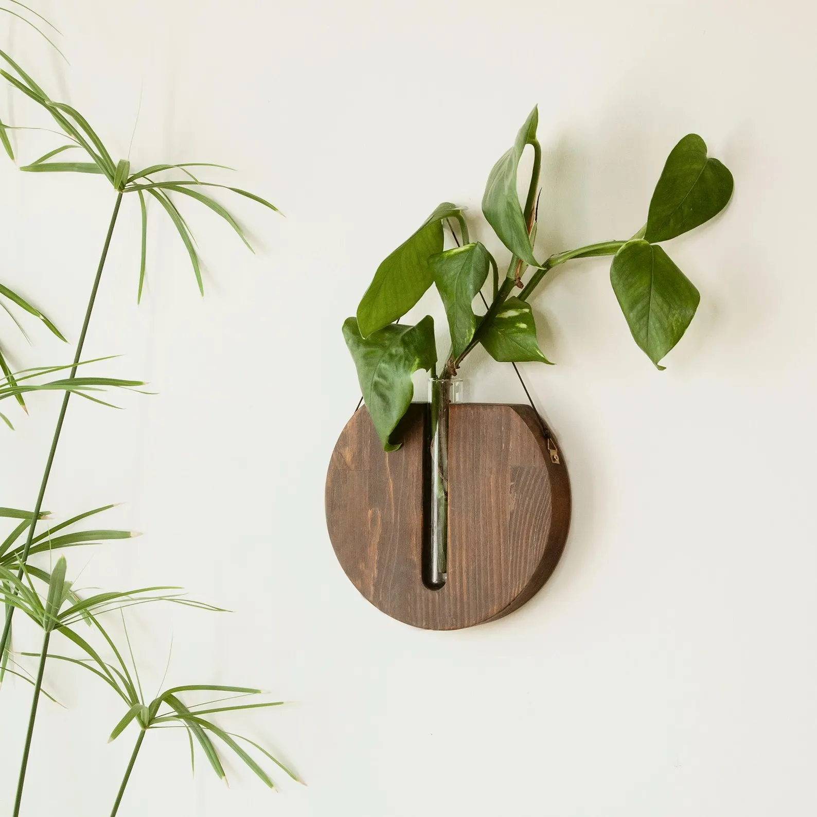 Round Dark Walnut Wooden Wall Planter - Wood Wall Hanging Propagation Station - Indoor Hanging Planter - Boho Home Decor - Housewarming Gift