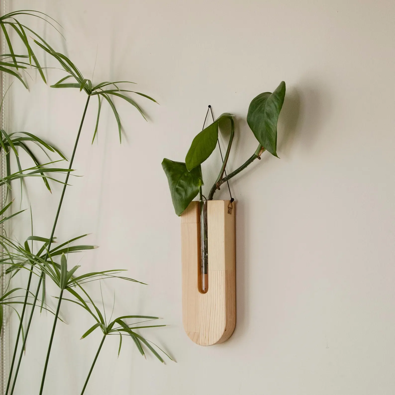Indoor Wooden Wall Planter - Plant Propagation Tubes - Hanging Wall Planter - Succulent Planter - Wall Vase - Boho Home Decor - Decor Gift