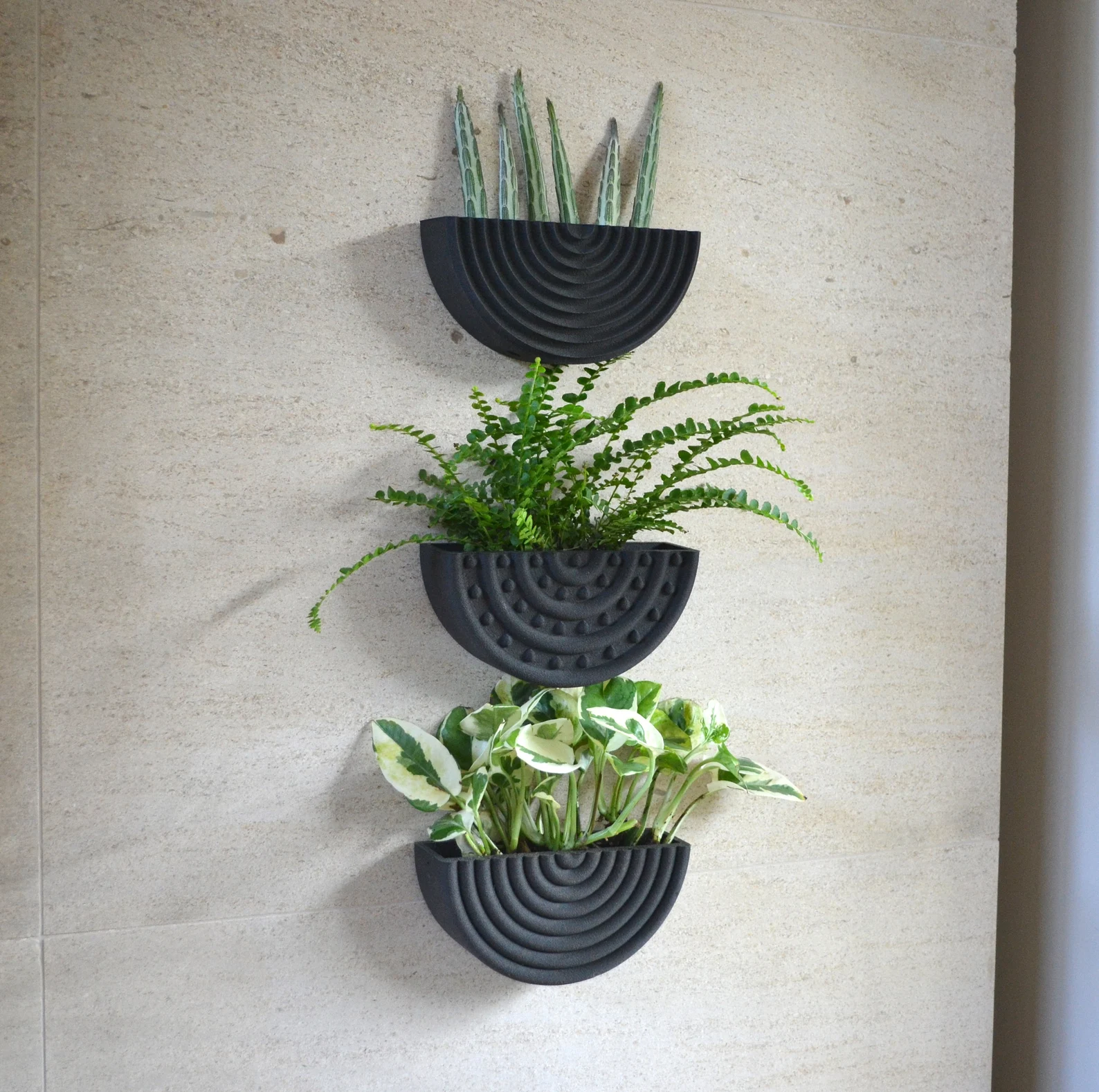 Mid Century Modern Set of 3 Circle Wall Wood Planter Black Wood Finish