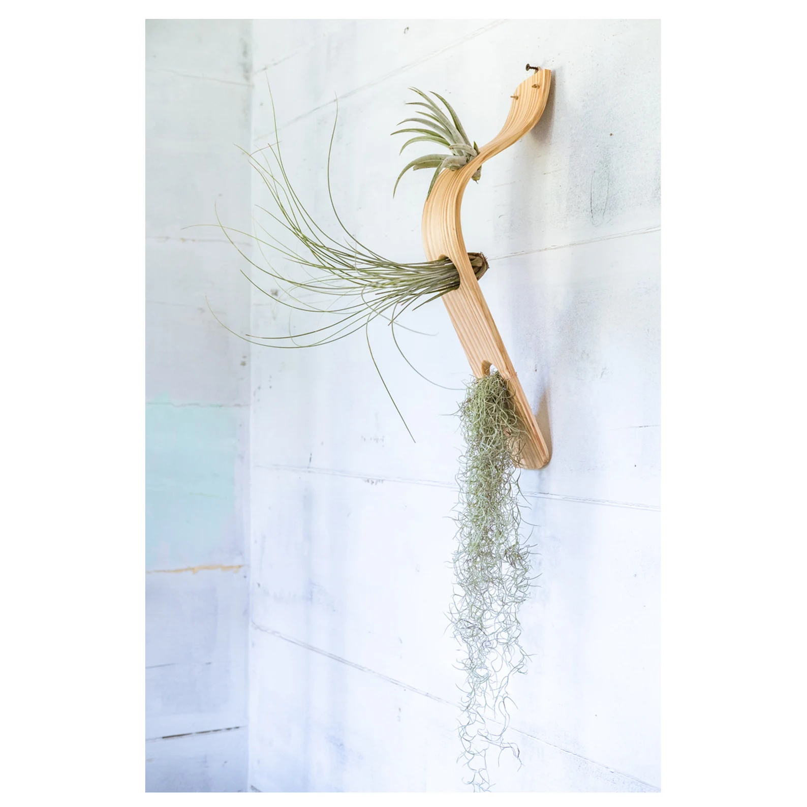 Waterfall Wave Vertical Air Plant Hanger, Air Plant Display, Large Wave, Air Plant Hanger, Large Air Plant Hanger, Hanging Wall Planter