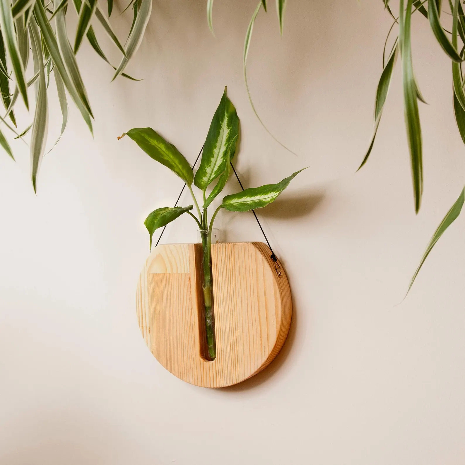 Round Wooden Wall Planter - Wooden Wall Hanging Propagation Station - Boho Indoor Wall Planter - Minimalist Home Decor - Housewarming Gift