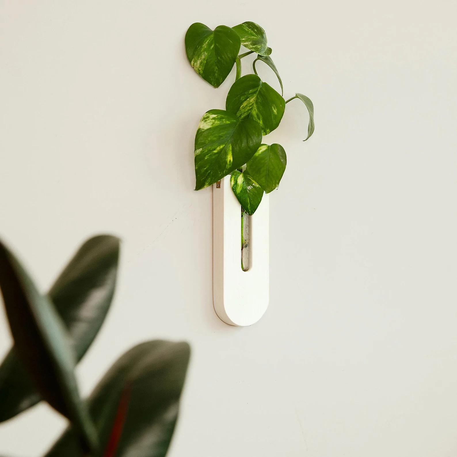 White Wooden Propagation Station - Wall Hanging Planter - Wood Wall Vase - Plant Hanger - Indoor Planter - Home Decor - Housewarming Gift