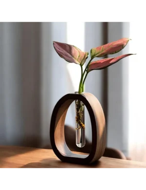 Handmade Hydroponic Glass Planter with Wooden Frame – Mini Vase by Krafted Kingdom