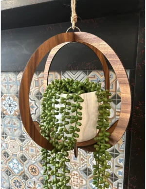 PR SR 10, Wooden Circular Hanging Plant Holder | Krafted Kingdom