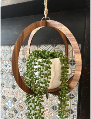 PR SR 10, Wooden Circular Hanging Plant Holder | Krafted Kingdom