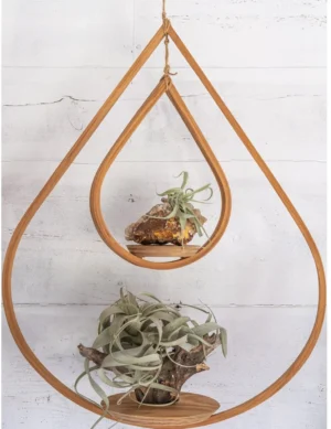 PR SR 15, Handmade Wooden Tear Drop Air Plant Hanger with Dual Saucers – Krafted Kingdom