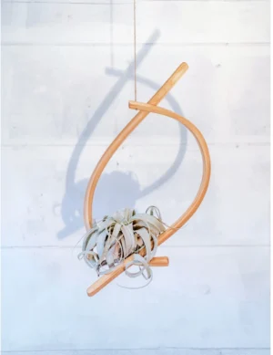 PR SR 17, Handmade Wooden Sail Air Plant Hanger – by Krafted Kingdom