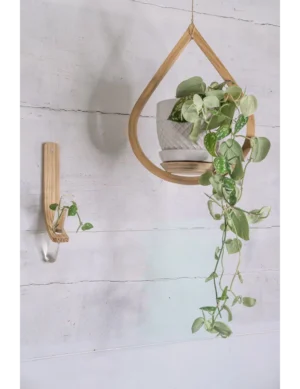 PR SR 18, Handmade Propagation Planter & Small Teardrop Hanger Combo – Krafted Kingdom