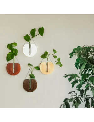 PR SR 25, Handmade Round Dark Walnut Wall Planter – Wooden Propagation Station by Krafted Kingdom