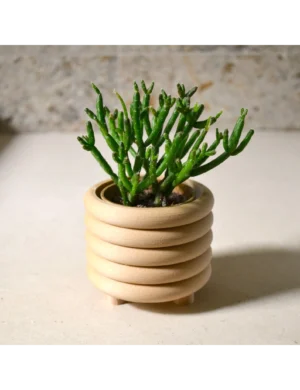 PR SR 3, Wood "Coiled Planter" – Mid Century Modern Indoor Pot, Matte Black Finish, Eco-Friendly Bioplastic, 3D Printed with Recycled Wood