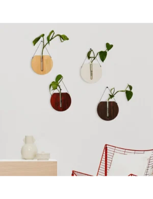 PR SR 35, Set of 4 Round Wooden Wall Planters – Indoor Propagation Station by Krafted Kingdom