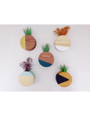 PR SR 40, Indoor Wall Planter Set – Wooden Hanging Vase Gift with Glass Tubes