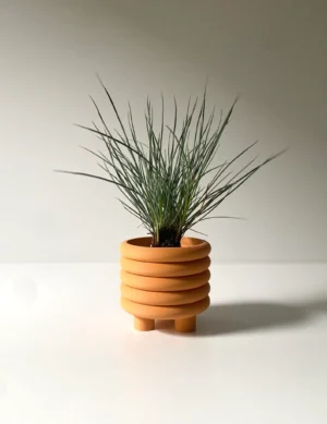 PR SR 5, Orange "Coiled" Mid Century Planter – Matte Finish Modern Pot, Bauhaus Japandi Style, 3D Printed Eco-Friendly Indoor Plant Pot