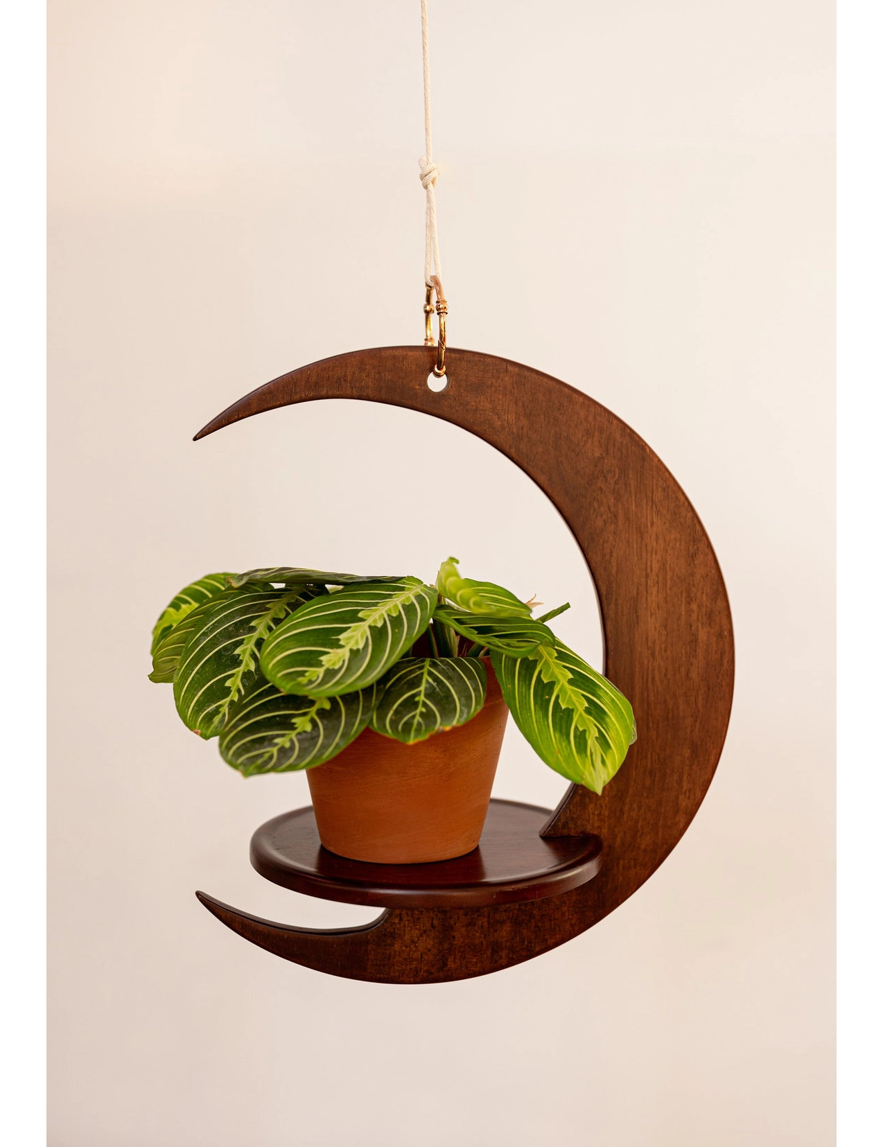 PR SR 55, Crescent Moon Wooden Plant Hanger – Handmade Hanging Shelf for Medium Plants - Image 6