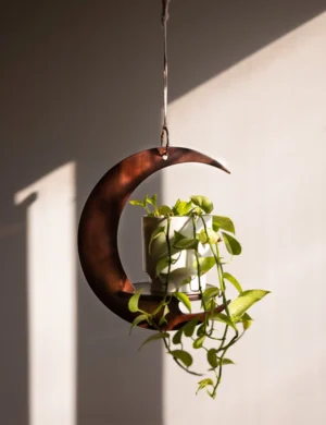 PR SR 55, Crescent Moon Wooden Plant Hanger – Handmade Hanging Shelf for Medium Plants