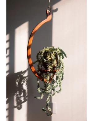 PR SR 57, Large Retro Wooden Plant Hanger – Minimal Mid-Century Modern Handmade Hanging Shelf